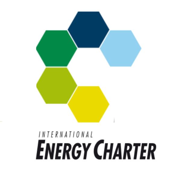 Lever les obstacles à la transition énergétique : le Traité sur la Charte de l’énergie (TCE) devant la Cour européenne des droits de l’homme - Image